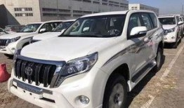 新款霸道爆料图片视频大全,揭秘新款车型图片视频大全，尽享豪华越野体验！”